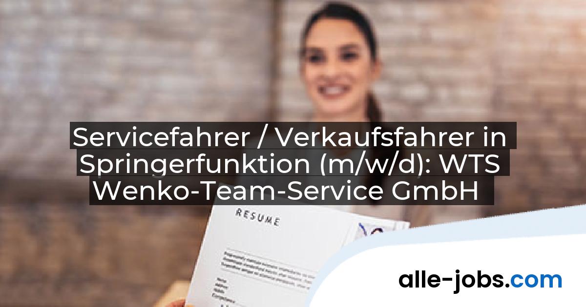 Servicefahrer / Verkaufsfahrer in Springerfunktion (m/w/d): WTS Wenko-Team-Service GmbH | alle-jobs.com