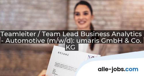 Teamleiter / Team Lead Business Analytics - Automotive (m/w/d): umaris GmbH & Co. KG | alle-jobs.com